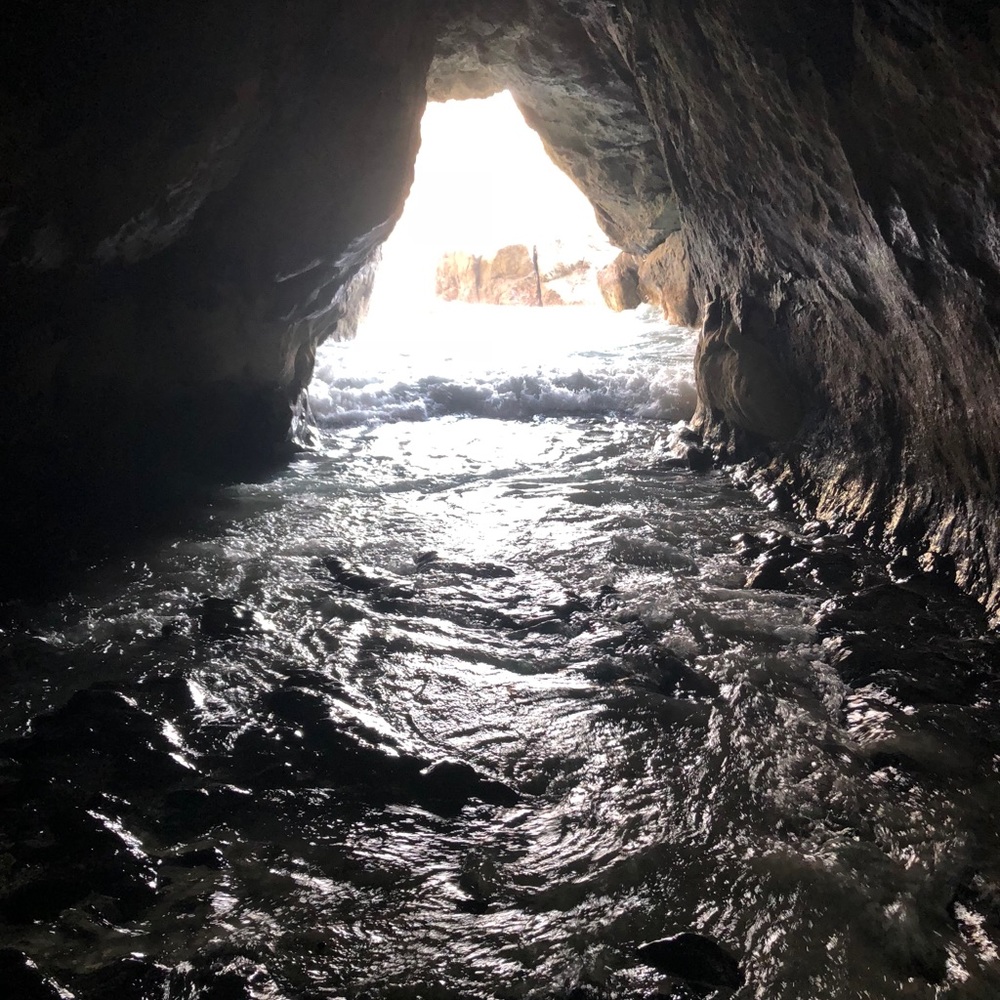 Meet your Posher, Teresa